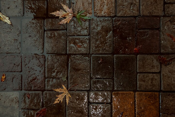 Wet paving slabs in the autumn evening.