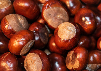 Close-up photo of a handful of chestnuts