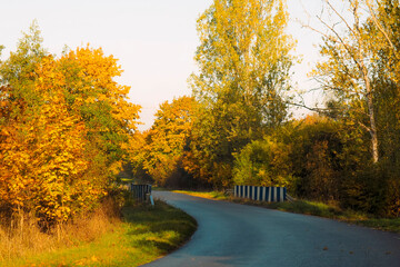 road, autumn, bridge