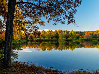 Fototapeta premium Keystone Lake in West Moreland County in the Laurel Highlands of Pennsylvania in the Fall with the Trees Reflecting in the Water and a large tree in the foreground. Colorful tree line.