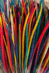 close up colorful flowers texture background