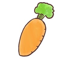 R:もっとメルヘンな野菜カレー にんじん