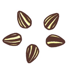 R:メルヘンなひまわりの種