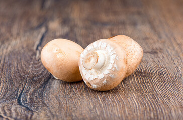 Three brown champignon mushrooms on a wooden table.