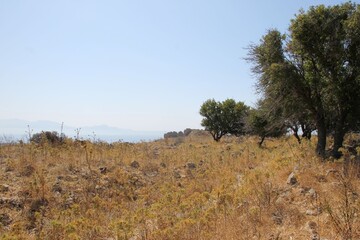 Obraz premium Panorama of Kos Island, Greece