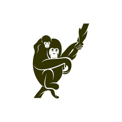 Orangutan logo design vector template, Illustration design Orangutan Monkey, Symbol Icon © shuttersport