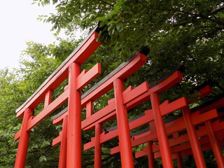 鳥居　Torii gate