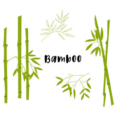 vector green color flat design bamboo plants with leafs illustration isolated light background long shadow