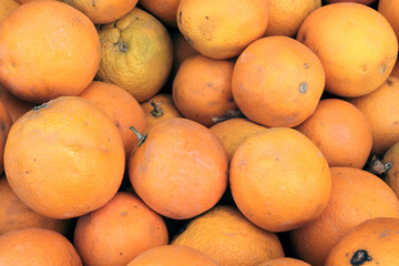 Lemons, oranges, citrus fruits . Harvesting, profitable business. Seasonal sale in supermarkets.