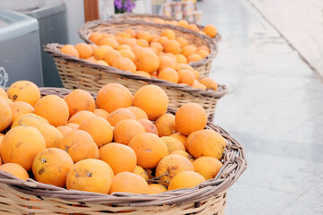 Lemons, oranges, citrus fruits in baskets . Harvesting, profitable business. Seasonal sale in supermarkets.