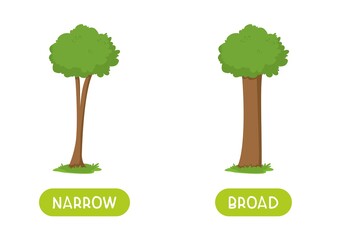 Obraz premium NARROW and BROAD antonyms word card vector template. Flashcard for english language learning. Opposites concept. Tree with a thick trunk, tree with a narrow trunk.