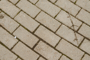 Texture and background of paving stones