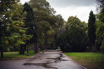 Fototapeta na wymiar Empty moody city park