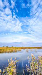 Sunny day on the perfect lake. Autumn lake with reflection on the water. Cloudy sky in the sunny day.