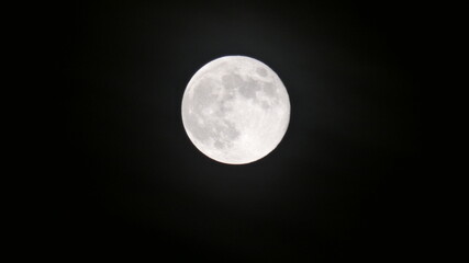 Obraz premium full moon in the night