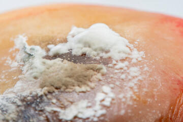 Background with white living mold on the fruit. Close-up in soft focus at high magnification.