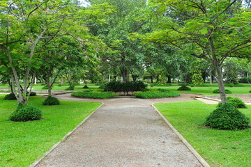 path in the park