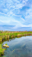 Sunny day on the perfect lake. Autumn lake with reflection on the water. Cloudy sky in the sunny day.