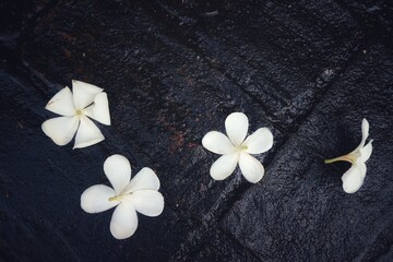 white flower on jeans