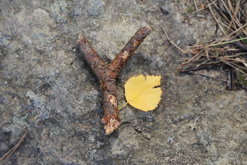 a stick and a leaf found on a walk in the forest lie on a textured stone
