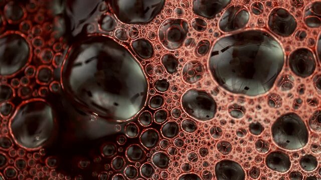 Super slow motion of bubbling red wine. Filmed on high speed cinema camera, 1000 fps.