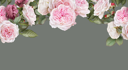 Floral banner, header with copy space. Blush pink roses, carmine tulips isolated on warm grey background. Natural flowers wallpaper or greeting card.
