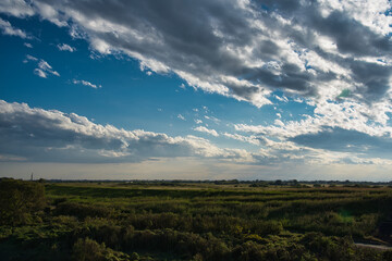 Fototapeta na wymiar 幻想的な空と大草原の渡良瀬遊水地