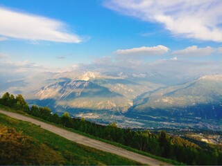 landscape in the summer