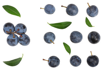 The fruits of blackthorns isolated on white, top view - obrazy, fototapety, plakaty