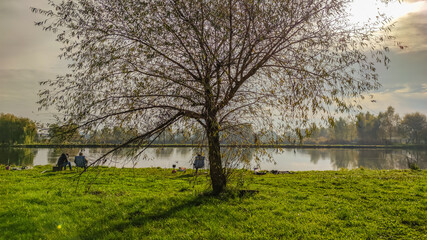 Obraz premium Sunny day on the perfect lake. Autumn lake with reflection on the water. Cloudy sky in the sunny day.