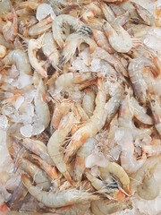 Seafood close-up backdrop from fresh natural raw shrimps.