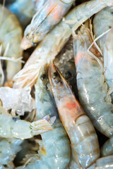 Close-up background from freshly caught natural shrimps.