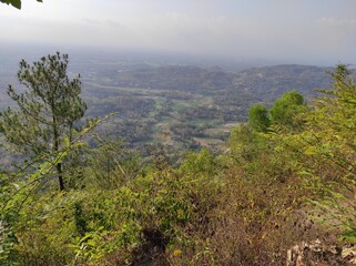 landscape in the morning