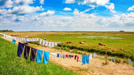 Typical dutch flat polder landscape with laundry on a clothsline drying in the sun under a blue sky with clouds. Waterland, North Holland, The Netherlands. - obrazy, fototapety, plakaty