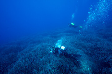 Scientists during healthcheck monitoring survey on neptune grass, Posidonia oceanica, beds...