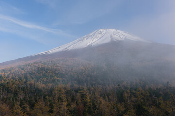 新雪と紅葉の富士山