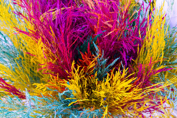 front view colorful flowers background