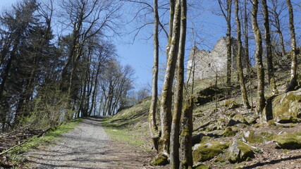 path in the woods