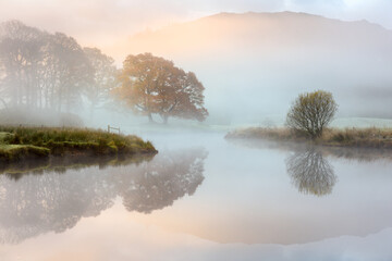 Great Oak tree with Autumn colours reflecting in misty river as the sun burns through the fog....