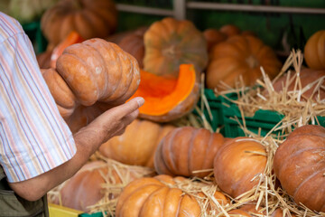 Man holding a pumpkin in market