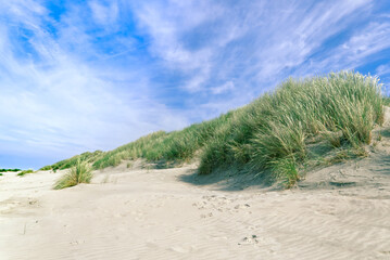 Dünen am Oststrand auf der Nordseeinsel Baltrum