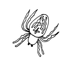  Large spider with a pattern on the back. Halloween. Hand drawing. Elements for decoration. Vector.