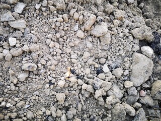 Texture of earth and sand. Background for the text.