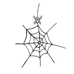 Cobweb, pendant spiders. Big spider. Halloween. Hand drawing. Elements for decoration. Vector.