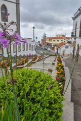 Landscape with famous Paseo de Canarias street on Firgas, Gran Canaria, Canary Islands.