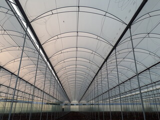 new huge plastic tunnels for cultivating banana