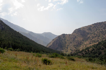 landscape in the mountains