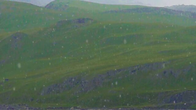 Rain over Alpine meadows and pastures. Super slow motion 1000 fps.
