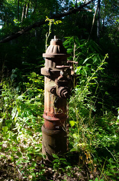Abandoned Fire Hydrant in the Woods Near Jaite Paper Mill in the Cuyahoga Valley National Park