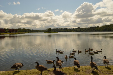 Road tripping and hiking in Northern Alaska and the Town of Chicken - USA